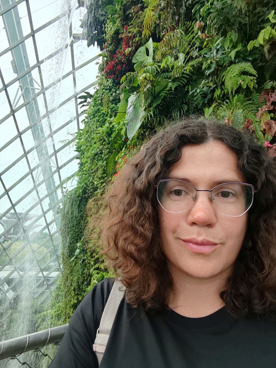 Flower Dome — оливы, суккуленты и климатические зоны Средиземноморья